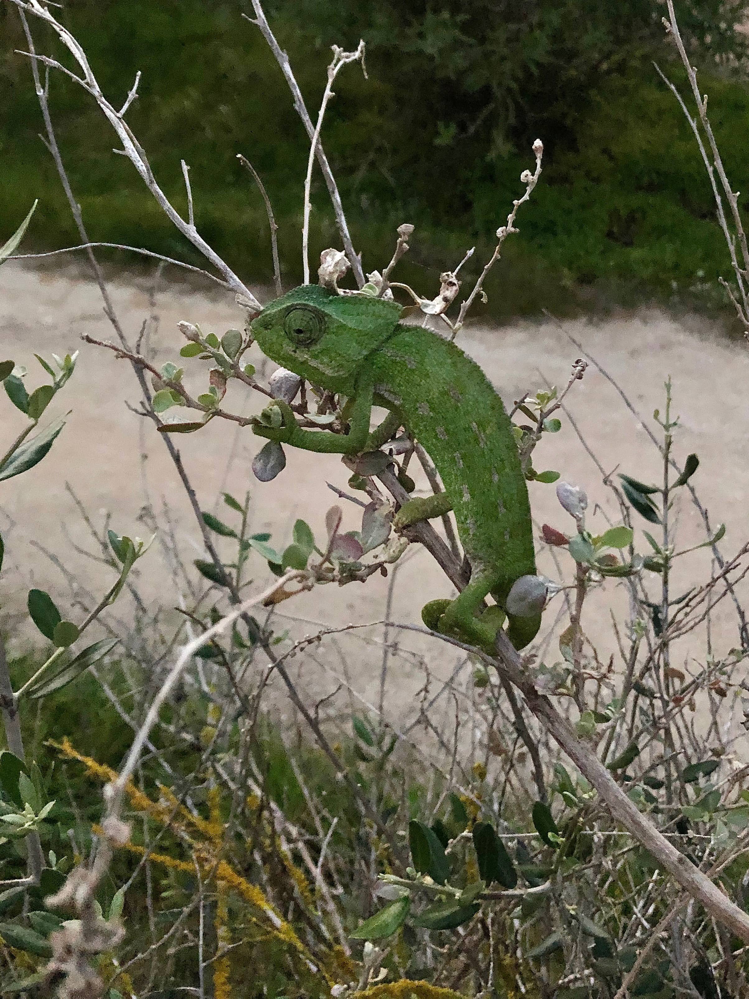 Nature